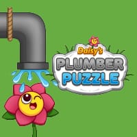 Daisy's Plumber Puzzle