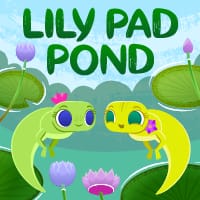 Lily Pad Pond