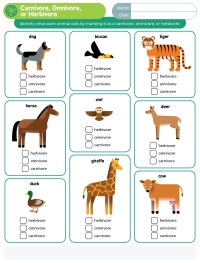 Carnivore, Omnivore, or Herbivore