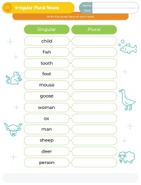 Irregular Plural Nouns