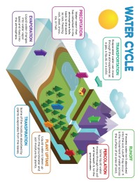 Water Cycle